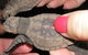 Footprints Adventures - thumb 1
