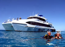 Silver Swift - Events Australia 0