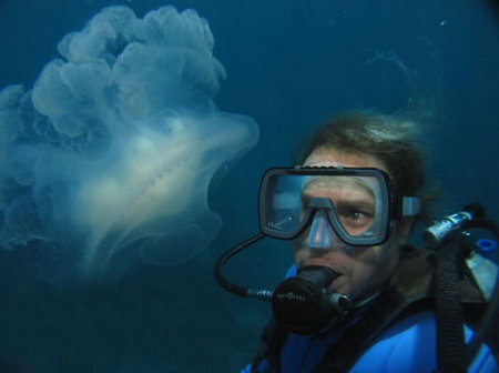 Silver Swift - Events Australia 2