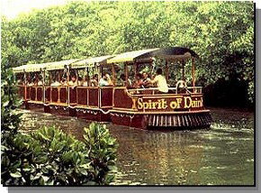 Daintree Rainforest River Trains - Events Australia 0