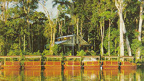Daintree Rainforest River Trains - Events Australia 3