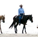 Ride the Beach - Events Australia