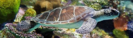 Melbourne Aquarium - Events Australia 1