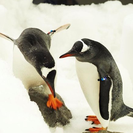 Melbourne Aquarium - Events Australia 3