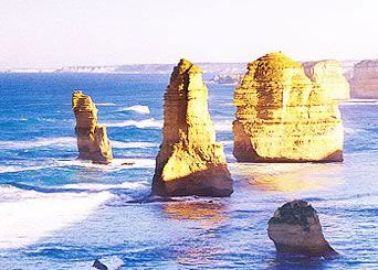 Bunyip Tours - Events Australia 3