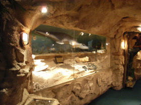 The National Opal Collection - Events Australia 2