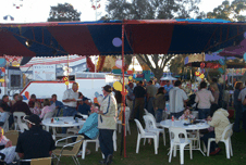 King Carnival - Tourism Bookings 4