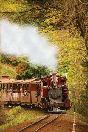 Puffing Billy - Events Australia 5