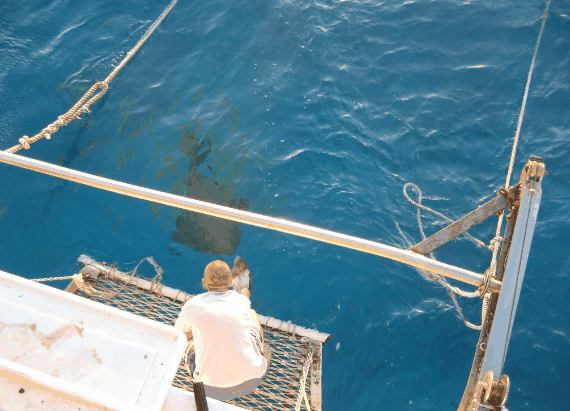 Carlo Fishing Charters - Events Australia 4