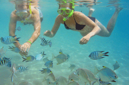 Australian Kayaking Adventures - Events Australia 2