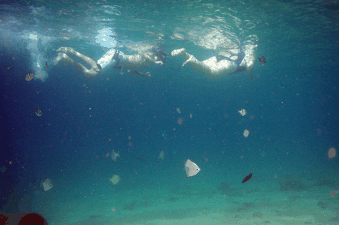 Australian Kayaking Adventures - Events Australia 5