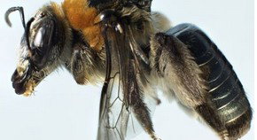 Western Australian Museum - Events Australia 0