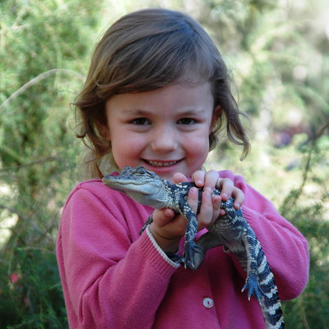 Australian Reptile Park - Tourism Bookings 2