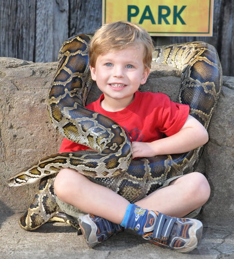 Australian Reptile Park - Tourism Bookings 3