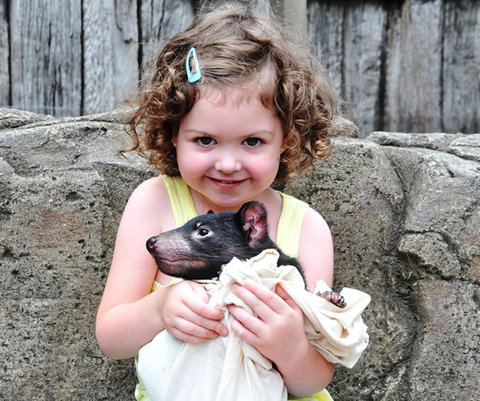 Australian Reptile Park - Tourism Bookings 8