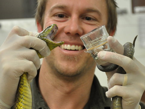 Australian Reptile Park - Tourism Bookings 9