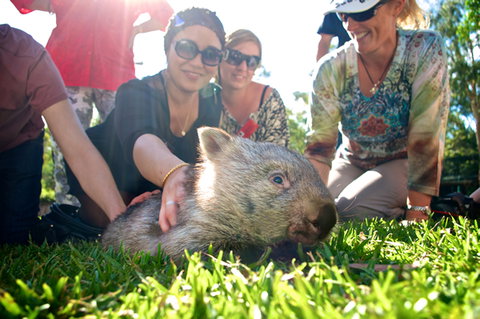 Australian Reptile Park - Tourism Bookings 10
