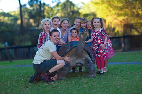 Australian Reptile Park - Tourism Bookings 11