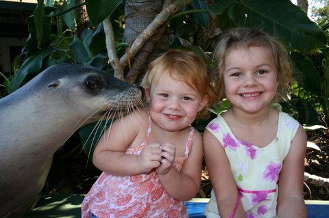 Dolphin Marine Magic - Events Australia 0