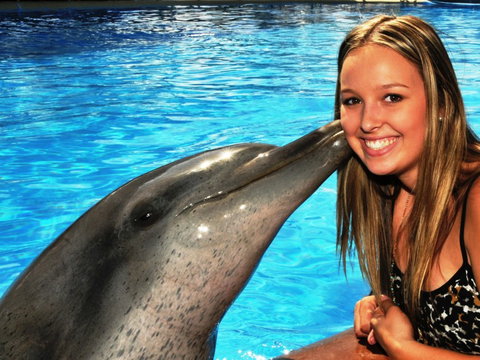 Dolphin Marine Magic - Events Australia 3