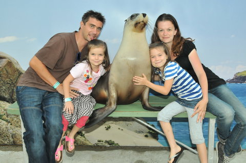 Dolphin Marine Magic - Events Australia 6