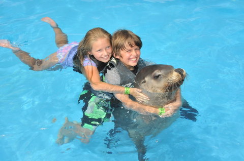 Dolphin Marine Magic - Events Australia 9