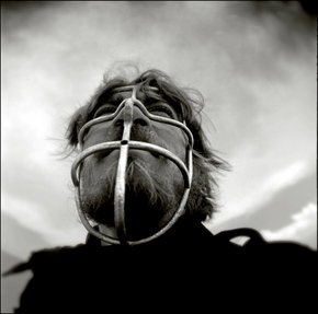 Australian Centre For Photography - Events Australia 3