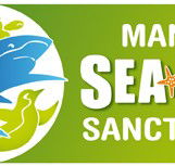 Manly SEA LIFE Sanctuary - Events Australia
