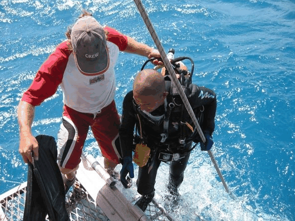 Big Cat Reality - Events Australia 2