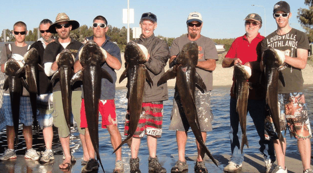 BKs Gold Coast Fishing Charters - Events Australia 1