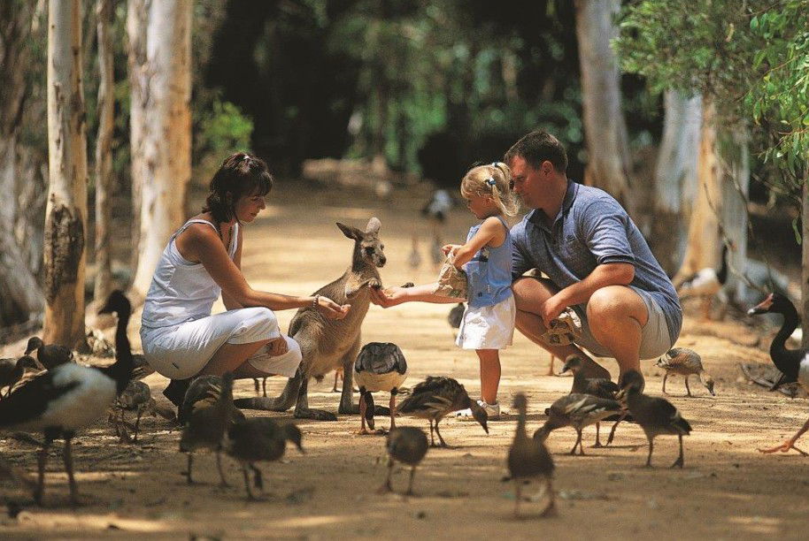 Belgian Gardens QLD Events Australia