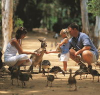 Billabong Sanctuary - Events Australia