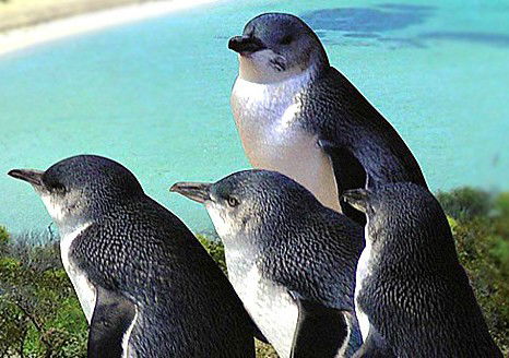  Accommodation Europe