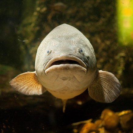 Melbourne Aquarium - Events Australia 5