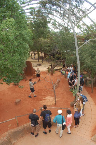 WILD LIFE Sydney Zoo - Events Australia 2