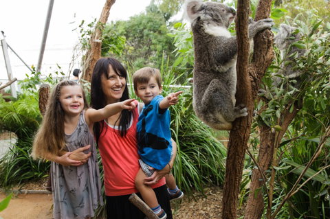 WILD LIFE Sydney Zoo - Events Australia 3