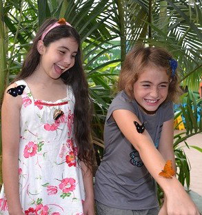 WILD LIFE Sydney Zoo - Events Australia 4