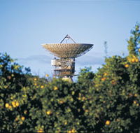 Big Dish