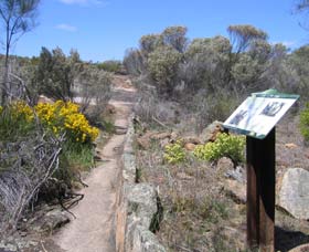 Christmas Rock Walk - Events Australia 0
