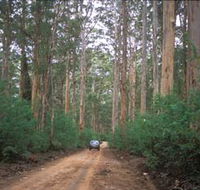 Boranup Drive - Events Australia
