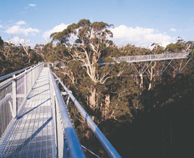 Walpole-Nornalup National Park - Events Australia 0