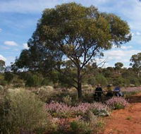 Karlkurla Bushland Park - Events Australia