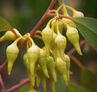 Mount Short Scenic Drive - Accommodation Europe