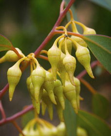 Mount Short Scenic Drive - Accommodation Europe 0