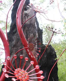 Understory Art In Nature - Events Australia 0