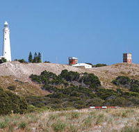 Wadjemup Lighthouse - Events Australia