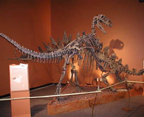 Denmark Dinosaur World - Events Australia 0