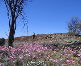 Talgomine Reserve - Events Australia 0