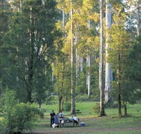 Big Brook Arboretum - Events Australia