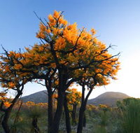 Cape Le Grand National Park - Events Australia